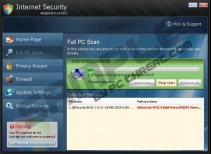 Internet Security 2013