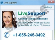 Livesupport Pop-up